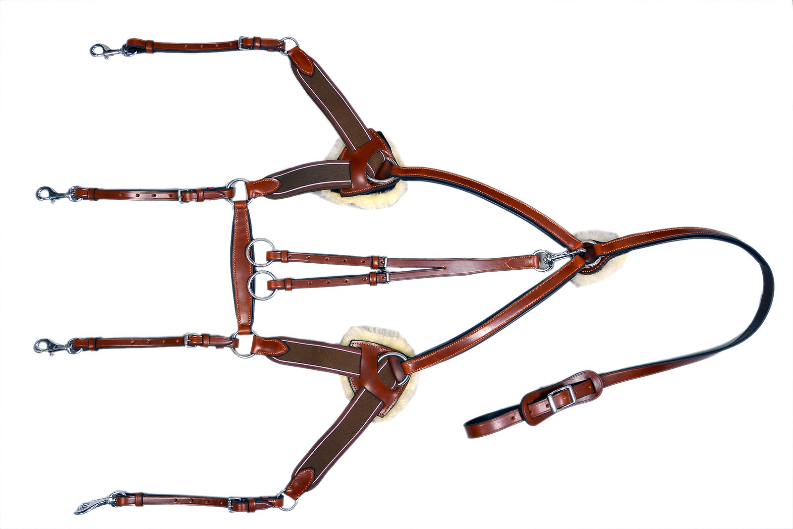 Elite 5-Point Breastplate