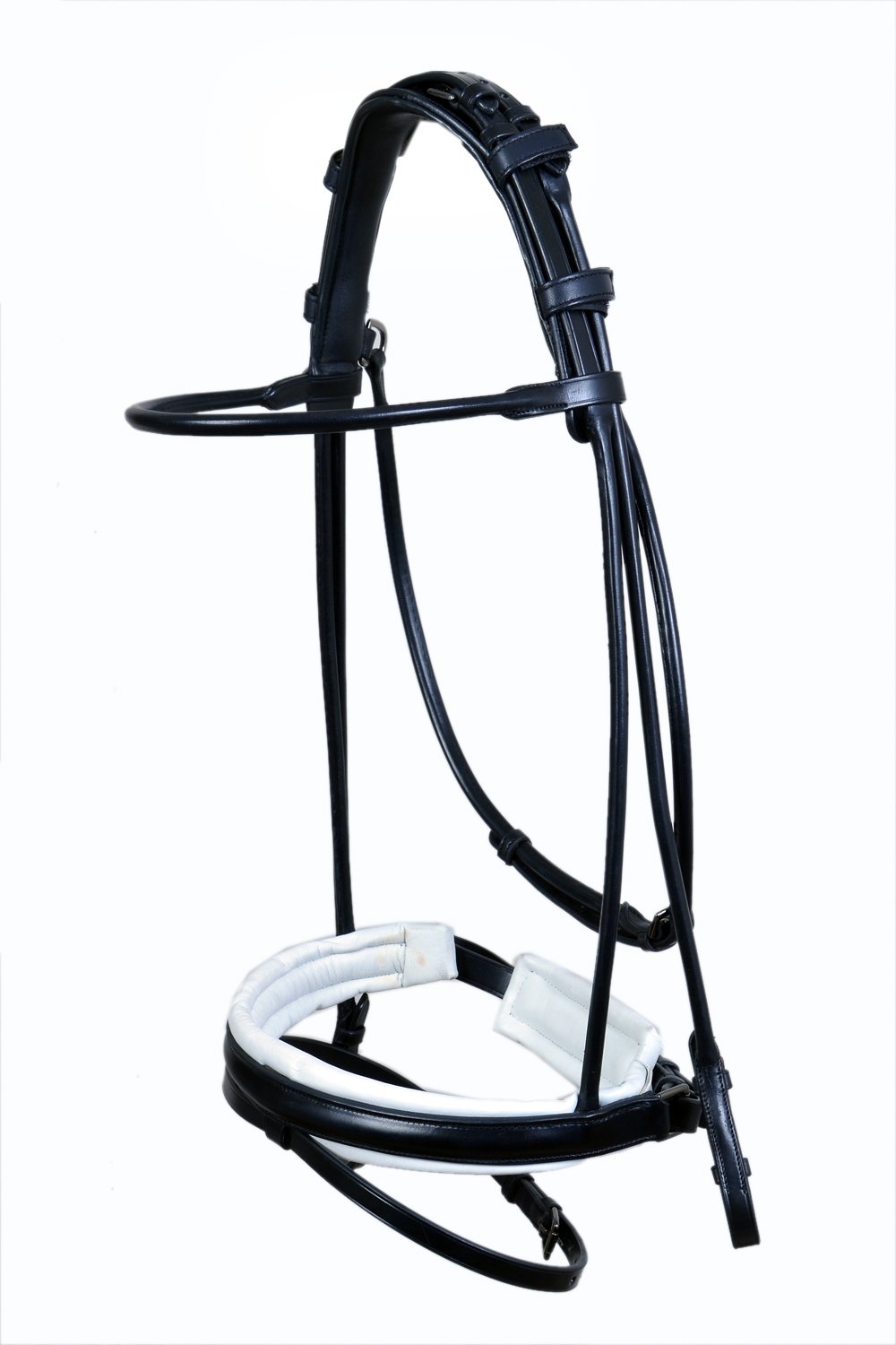 Modern Black Anatomical Flash Bridle