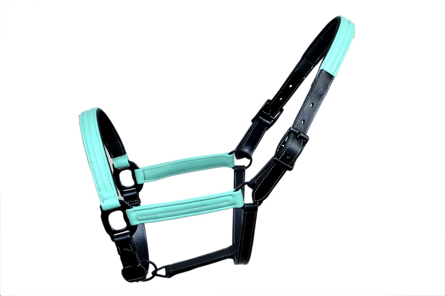 Black & Mint Green Padded Leather Halter