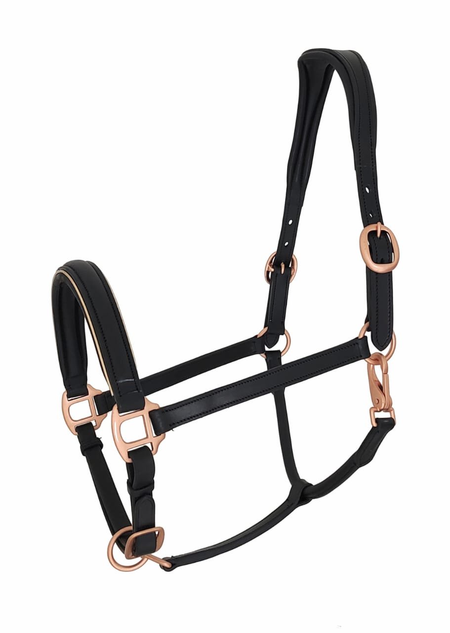 Luxurious Black Leather Halter with Rose Gold Hardware