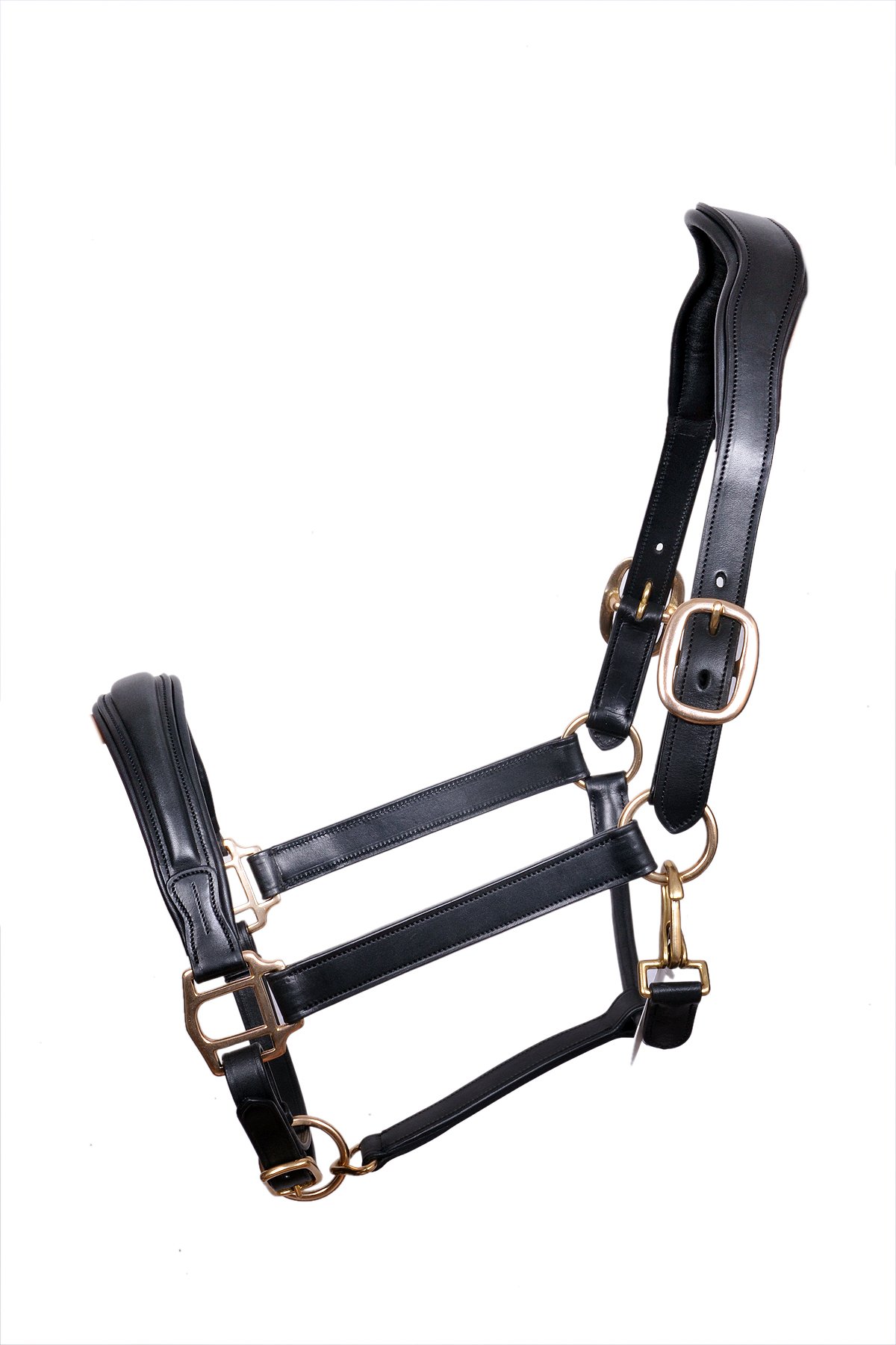 Classic Padded Leather Halter with Brass Hardware