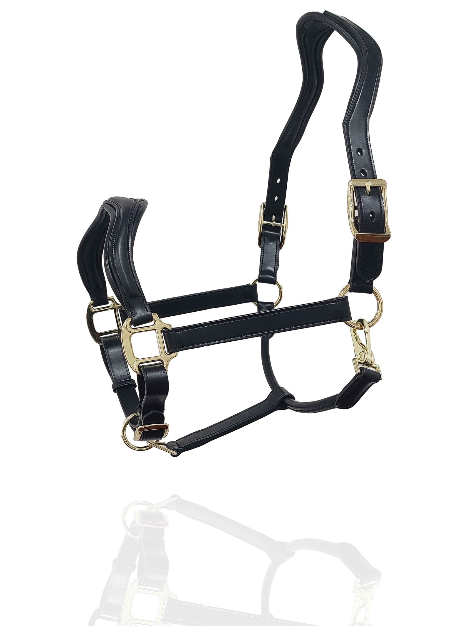 Midnight Sovereign Padded Leather Halter with Gold Accents