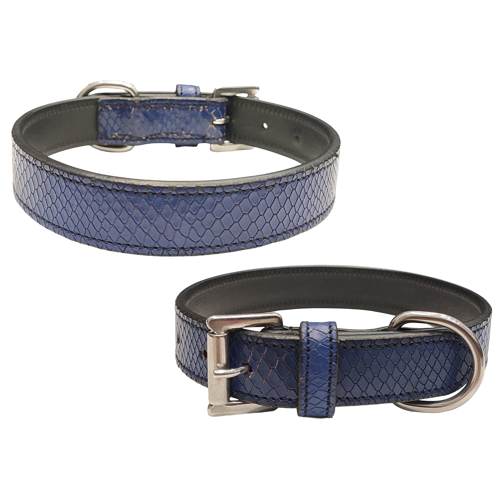 Midnight Blue Snake Skin Dog Collar