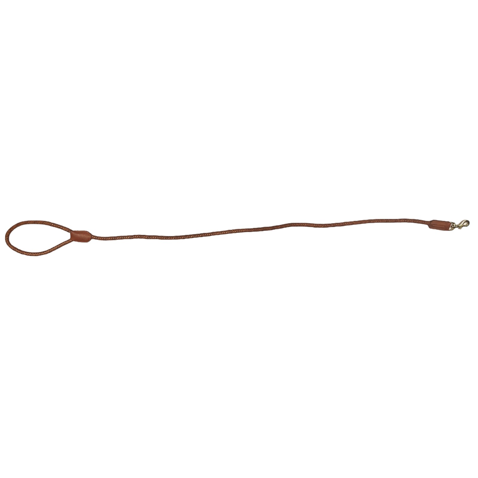 Imperial Braided Leather Control Lead